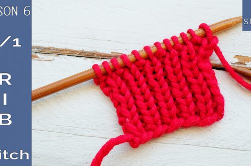 How to knit the 1-1 Rib stitch So Woolly