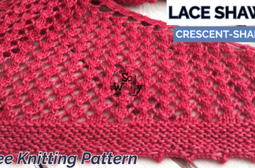 Lace Shawl Free Knit