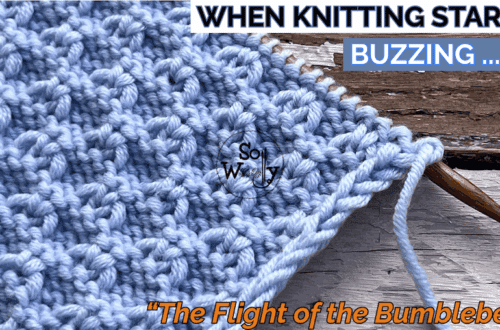 FLIGHT OF THE BUMBLEBEE KNITTING